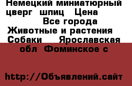 Немецкий миниатюрный(цверг) шпиц › Цена ­ 50 000 - Все города Животные и растения » Собаки   . Ярославская обл.,Фоминское с.